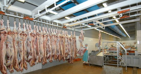 Дезинсекция на мясокомбинате в Михнево, цены на услуги
